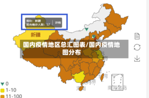 国内疫情地区总汇图表/国内疫情地图分布