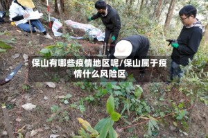 保山有哪些疫情地区呢/保山属于疫情什么风险区