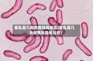 霍乱是几类疫情风险地区(霍乱是几类疫情风险地区啊)