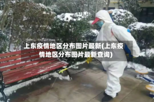 上东疫情地区分布图片最新(上东疫情地区分布图片最新查询)