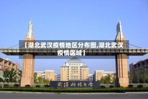 【湖北武汉疫情地区分布图,湖北武汉疫情区域】