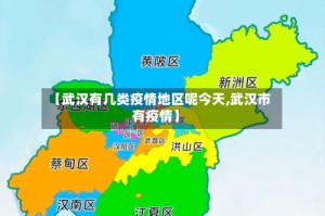 【武汉有几类疫情地区呢今天,武汉市有疫情】