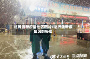临沂最新疫情地区图片/临沂最新疫情风险等级