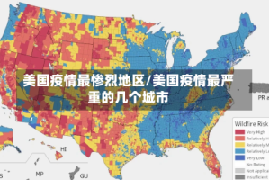 美国疫情最惨烈地区/美国疫情最严重的几个城市
