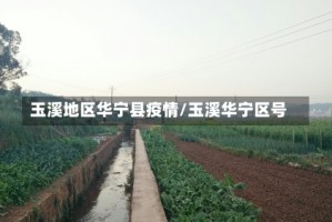 玉溪地区华宁县疫情/玉溪华宁区号