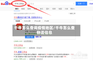 千牛怎么查询疫情地区/千牛怎么查物流信息