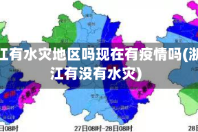 浙江有水灾地区吗现在有疫情吗(浙江有没有水灾)
