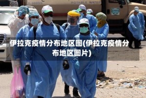 伊拉克疫情分布地区图(伊拉克疫情分布地区图片)