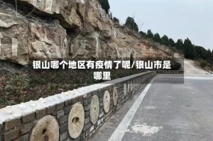 银山哪个地区有疫情了呢/银山市是哪里