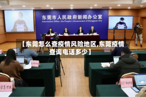 【东莞怎么查疫情风险地区,东莞疫情查询电话多少】