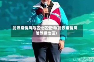 武汉疫情风险区地区查询(武汉疫情风险等级地区)