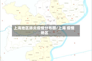上海地区肺炎疫情分布图/上海 疫情 地区