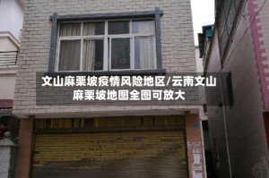 文山麻栗坡疫情风险地区/云南文山麻栗坡地图全图可放大