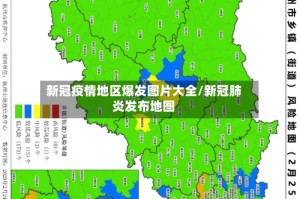 新冠疫情地区爆发图片大全/新冠肺炎发布地图