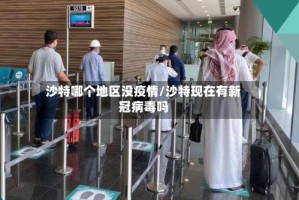沙特哪个地区没疫情/沙特现在有新冠病毒吗