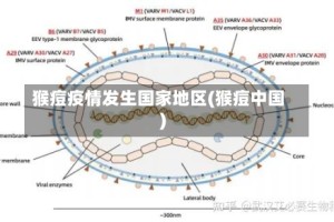 猴痘疫情发生国家地区(猴痘中国)