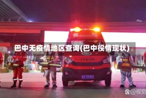 巴中无疫情地区查询(巴中役情现状)