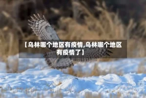 【乌林哪个地区有疫情,乌林哪个地区有疫情了】