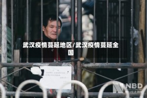 武汉疫情蔓延地区/武汉疫情蔓延全国