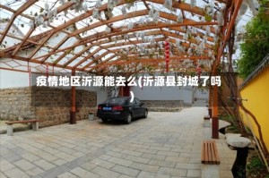 疫情地区沂源能去么(沂源县封城了吗)