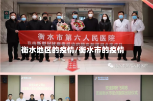 衡水地区的疫情/衡水市的疫情