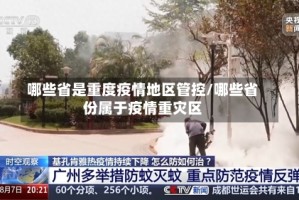 哪些省是重度疫情地区管控/哪些省份属于疫情重灾区