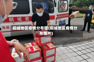 桐城地区疫情分布图(桐城地区疫情分布图片)