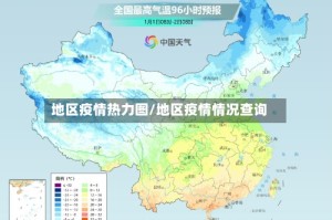 地区疫情热力图/地区疫情情况查询