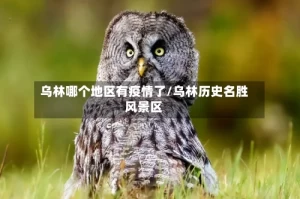 乌林哪个地区有疫情了/乌林历史名胜风景区