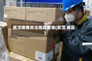 武汉疫情关注地区查询(武汉 疫区)