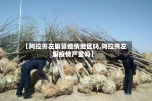 【阿拉善左旗算疫情地区吗,阿拉善左旗疫情严重吗】