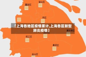 【上海各地区疫情累计,上海各区新型肺炎疫情】