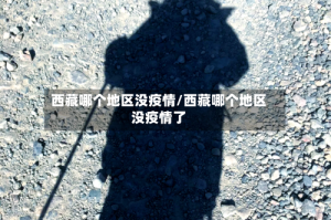 西藏哪个地区没疫情/西藏哪个地区没疫情了