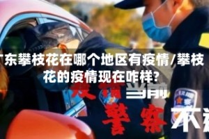 广东攀枝花在哪个地区有疫情/攀枝花的疫情现在咋样?