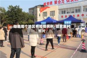 陆寨哪个地区有疫情病例/陆家寨村照片