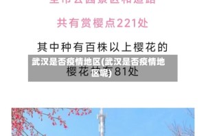 武汉是否疫情地区(武汉是否疫情地区呢)