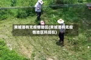 黄城港有无疫情地区(黄城港有无疫情地区吗现在)