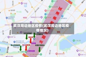 武汉周边地区疫情(武汉周边地区疫情情况)
