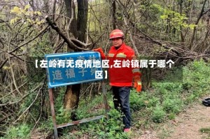 【左岭有无疫情地区,左岭镇属于哪个区】