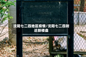 沈阳七二四地区疫情/沈阳七二四附近新楼盘