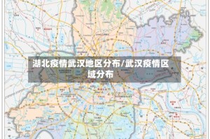 湖北疫情武汉地区分布/武汉疫情区域分布