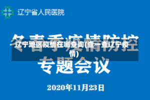 辽宁地区疫情在哪查询(查一查辽宁疫情)