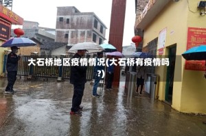 大石桥地区疫情情况(大石桥有疫情吗?)
