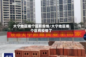 大宁地区哪个区有疫情/大宁地区哪个区有疫情了