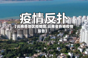 【云南各地区疫情图,云南省各地疫情报告】