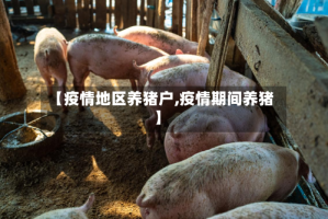 【疫情地区养猪户,疫情期间养猪】