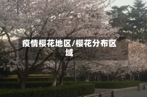 疫情樱花地区/樱花分布区域