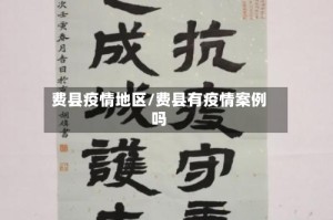 费县疫情地区/费县有疫情案例吗