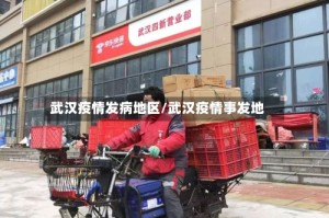 武汉疫情发病地区/武汉疫情事发地