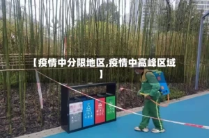 【疫情中分限地区,疫情中高峰区域】